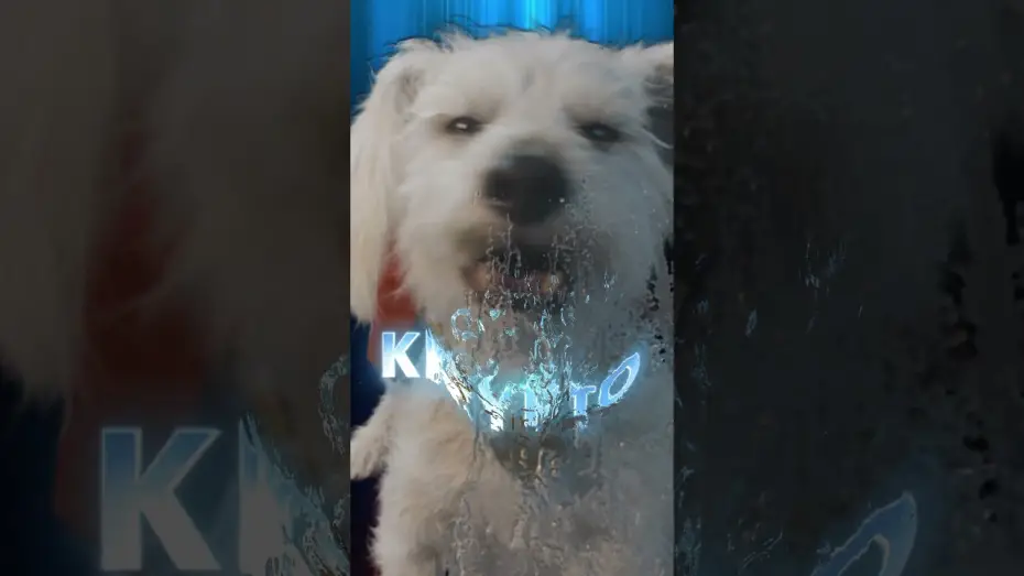 Watch film Superman: Legacy | Krypto is one of a kind.