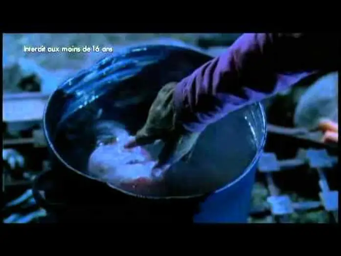 Watch film Wrong Turn 3: Left for Dead | D&eacute;tour mortel 3 - Wrong Turn 3 - bande-annonce.wmv