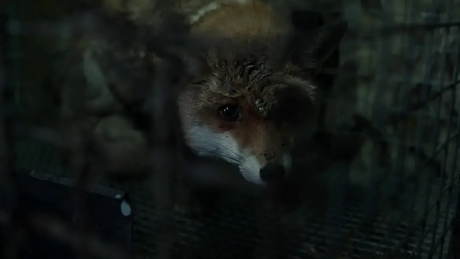 Watch film Spoor | SPOOR (POKOT) - trailer EN