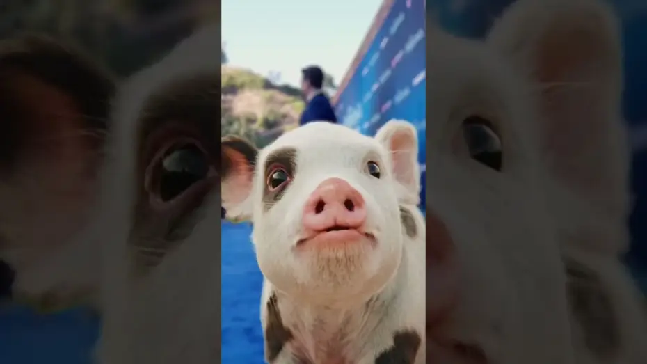 Watch film Moana — make sure you get his good side