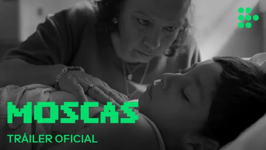 Watch film Flies — MOSCAS | Tráiler Oficial | En cines julio 2