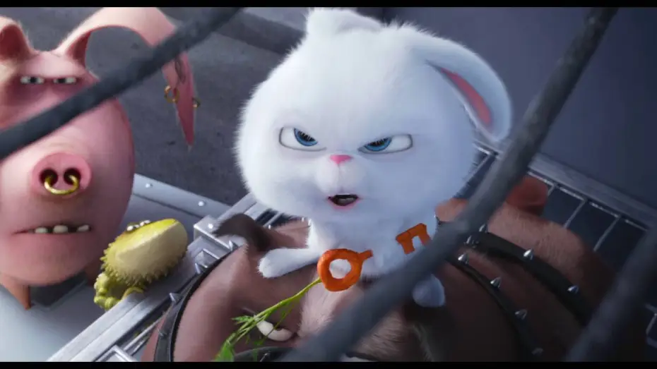 Watch film The Secret Life of Pets | Comme Des B&ecirc;tes / Extrait "Max et Duke veulent se rallier &agrave; Pompon" VF [Au cin&eacute;ma le 27 juillet]