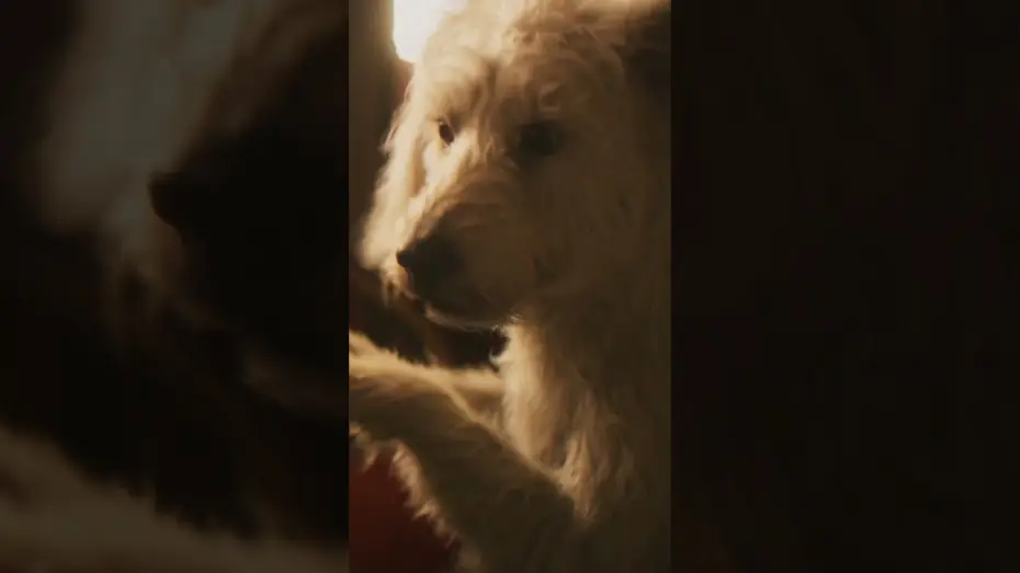 Watch film Supergirl | Still the goodest boy in the galaxy.
