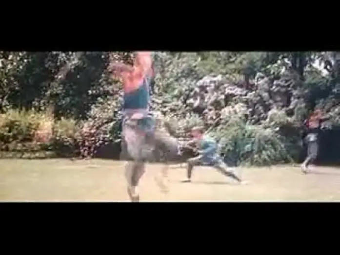 Watch film Shaolin Temple | The Shaolin Temple (1982) original trailer