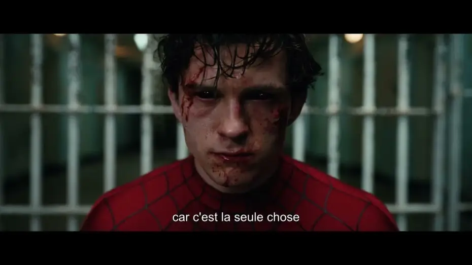 Watch film Spider-Man 4 — Spider-Man : Brand New Day - Vignette Hidden Heroes
