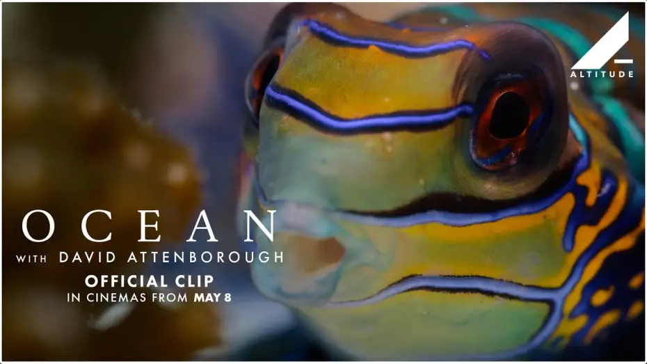 Watch film Ocean with David Attenborough | 'Variety Of Ocean Life' Clip