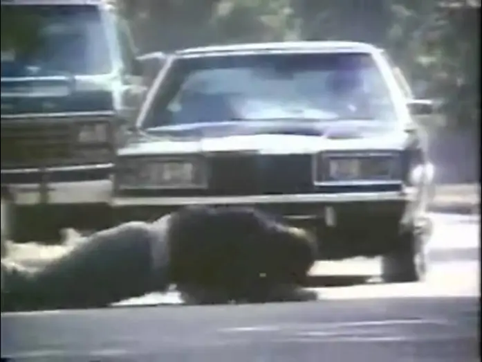 Video for the series Moonlighting — Moonlighting (1985) - Trailer