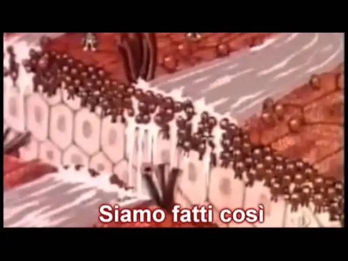 Видео к сериалу Once Upon a Time... Life — siamo fatti così - esplorando il corpo umano - sigla