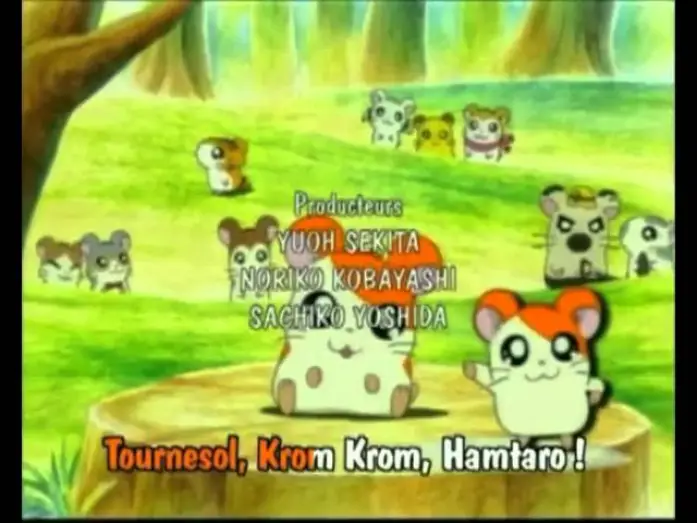 Video for the series Hamtaro — Hamtaro Génériques début et fin français