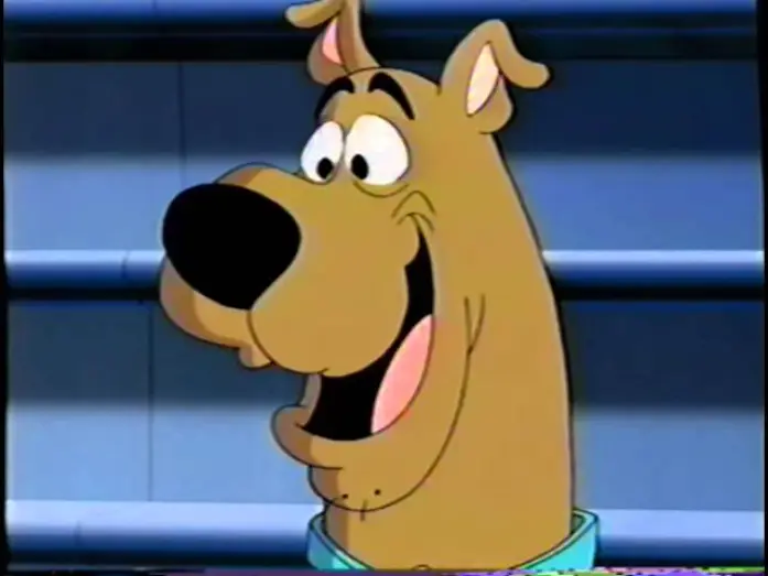 Video for the series What's New, Scooby-Doo? — What's New, Scooby-Doo? (2002) Teaser (VHS Capture)