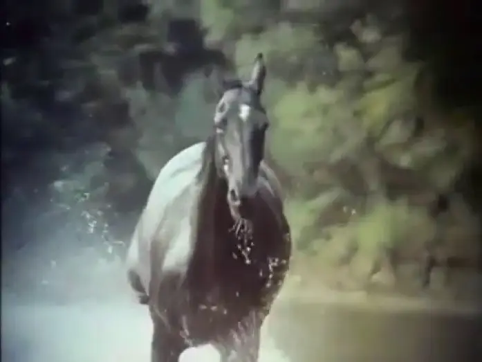 Video for the series The Adventures of Black Beauty — The Adventures of Black Beauty Opening and Closing Theme 1972 - 1974