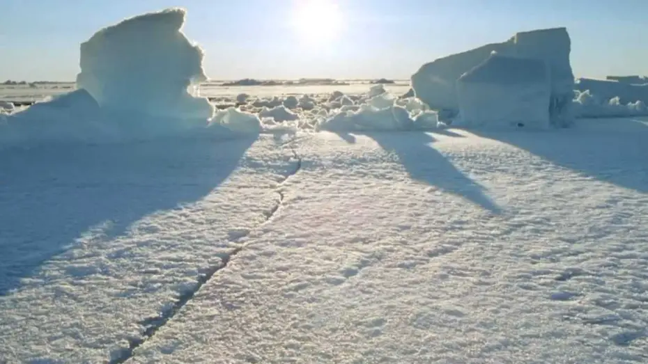 Video for the series Frozen Planet — BBC - Frozen Planet - Trailer (HD)