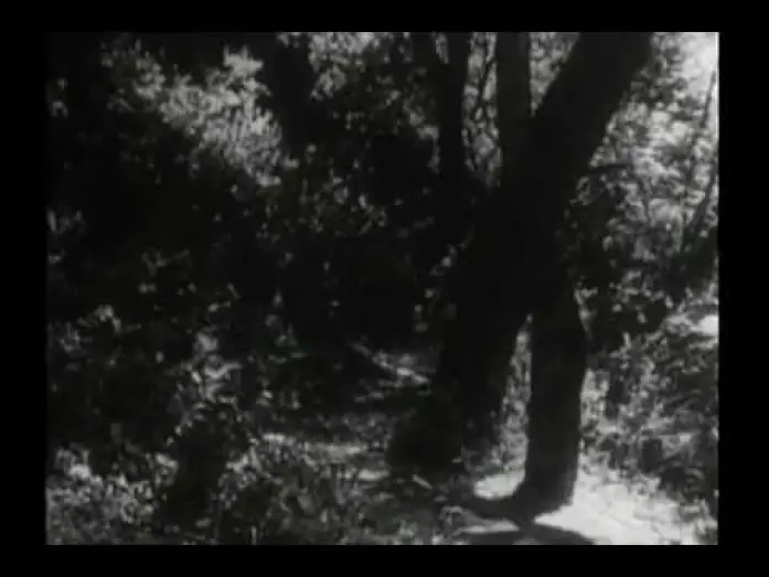 Video for the series Daniel Boone — Original Daniel Boone Opening