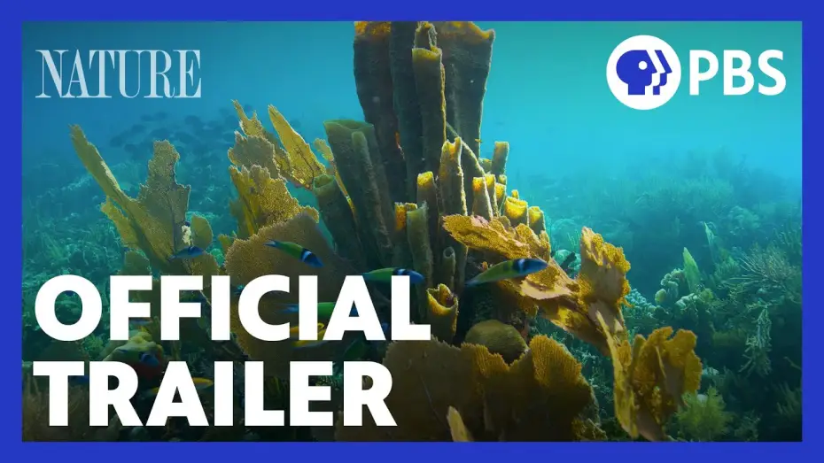 Видео к сериалу Nature — Treasure of the Caribbean | Official Trailer | NATURE | PBS