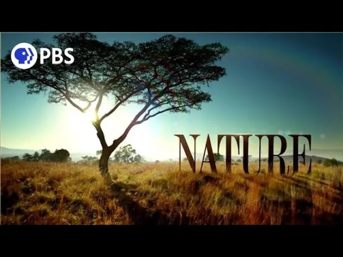 Видео к сериалу Nature — Welcome to PBS Nature