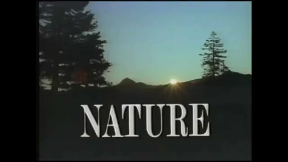 Видео к сериалу Nature — Intro to Nature - PBS (1987)