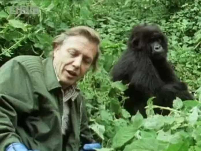 Video for the series Life on Earth — Sir David Attenborough - The story behind Life on Earth - BBC