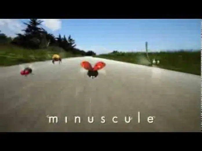 Video for the series Minuscule: The Private Life of Insects — Minuscule - Spot TV