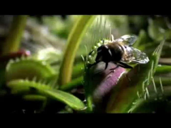 Video for the series Life — Life - BBC 2009 Trailer - Documentary