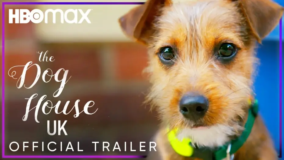Video for the series The Dog House — The Dog House: UK | Official Trailer | HBO Max