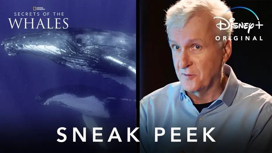 Video for the series Secrets of the Whales — James Cameron Sneak Peak