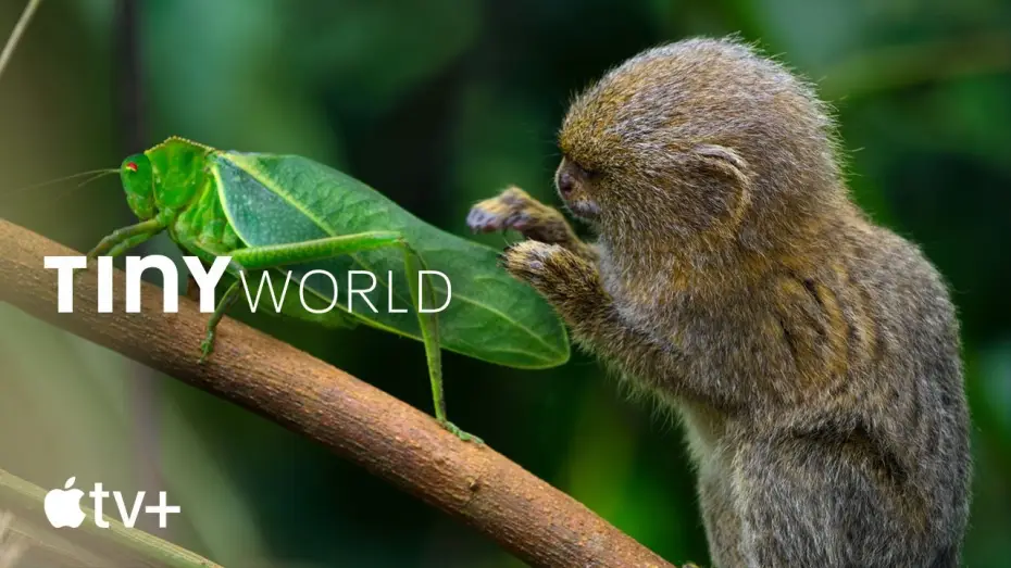 Video for the series Tiny World — Official Trailer
