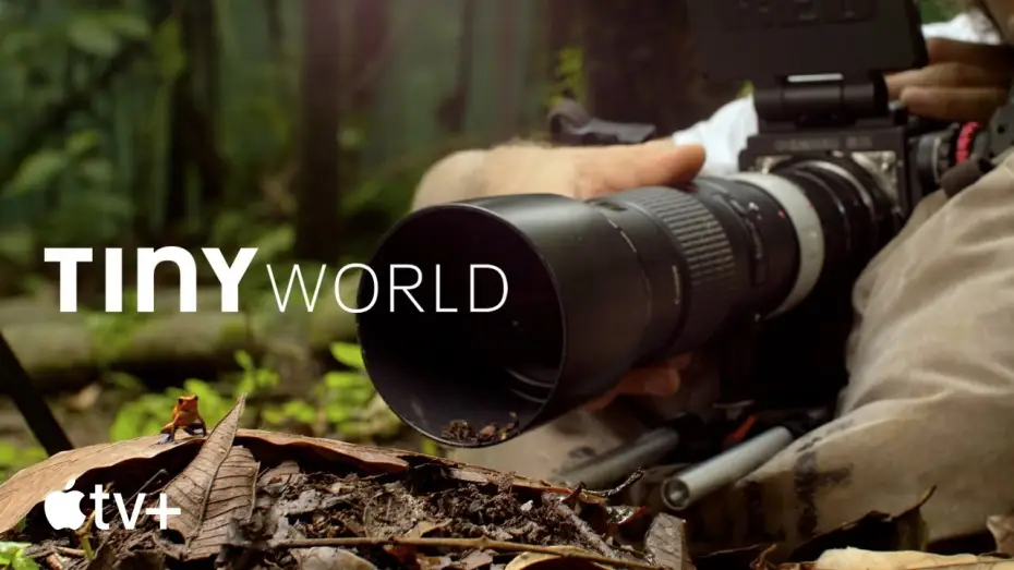 Video for the series Tiny World — Behind the Scenes