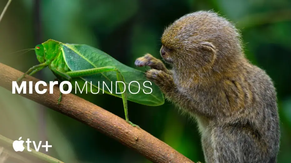 Video for the series Tiny World — Tráiler oficial