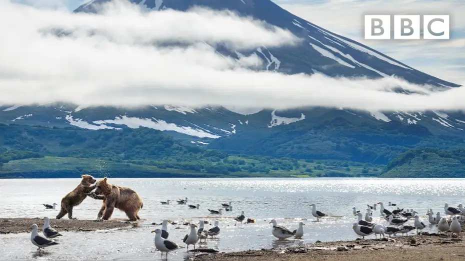 Video for the series A Perfect Planet — A Perfect Planet: Prequel | New David Attenborough Series @BBC Earth - BBC