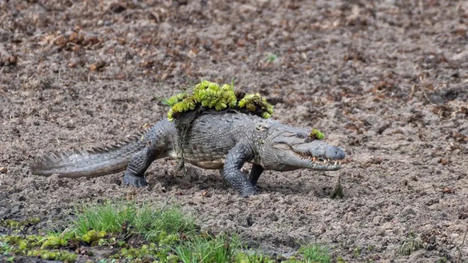 Video for the series Planet Earth III — Mugger Crocodile Ambushes Deer at Watering Hole | Planet Earth III