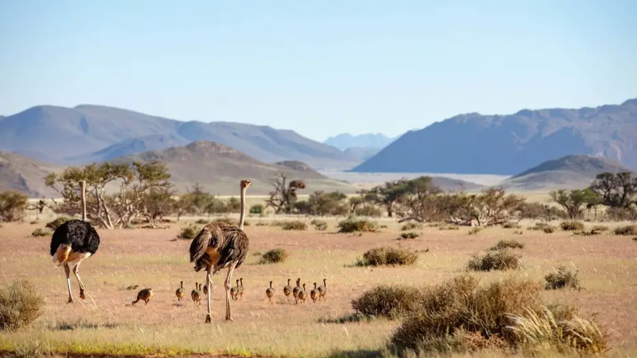 Video for the series Planet Earth III — Sir David Attenborough on the Planet Earth series | Planet Earth III