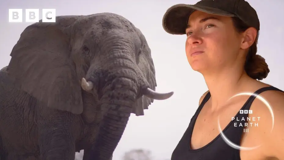 Video for the series Planet Earth III — Elephants saved from poaching learn to trust again | Planet Earth III – Behind the scenes
