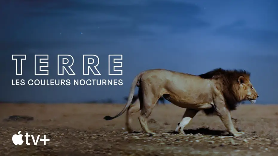 Video for the series Earth at Night in Colour — Bande-annonce officielle [VOSTFR]