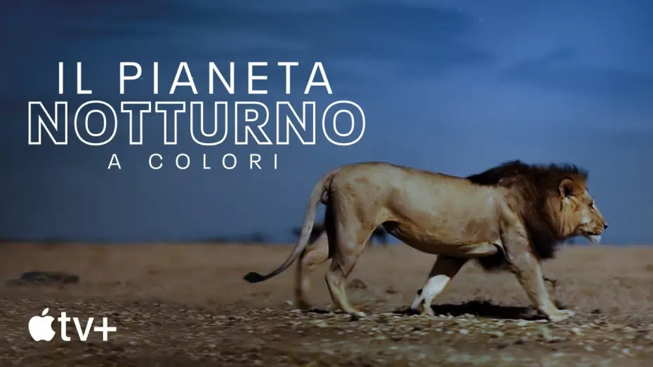 Video for the series Earth at Night in Colour — Trailer ufficiale