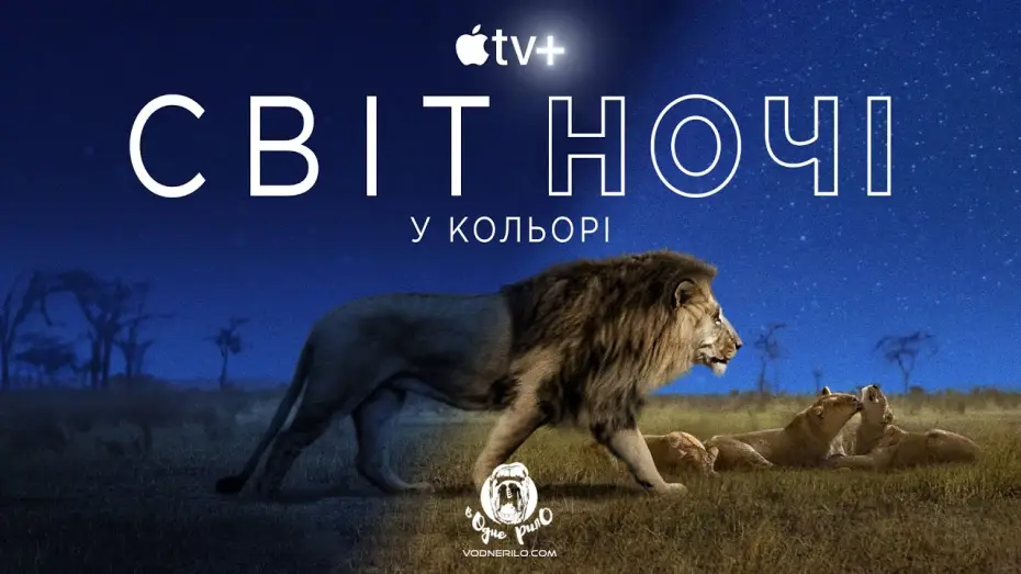 Video for the series Earth at Night in Colour — Світ ночі у кольорі / Earth at Night in Color - трейлер до док. серіалу