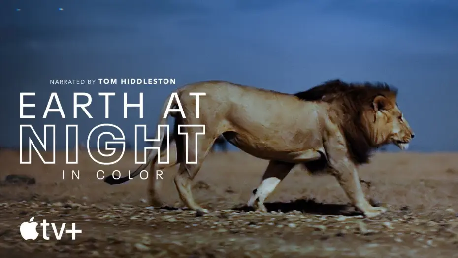 Видео к сериалу Earth at Night in Colour — Earth At Night In Color — Official Trailer | Apple TV+