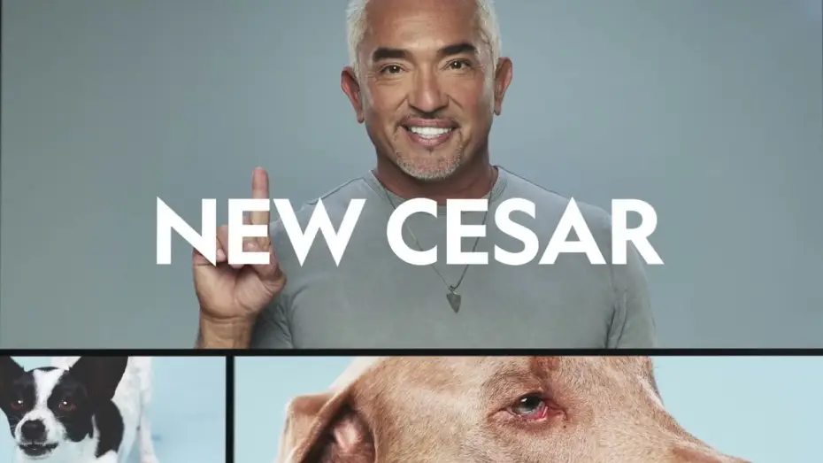 Video for the series Cesar Millan: Better Human, Better Dog — Season 2 Promo