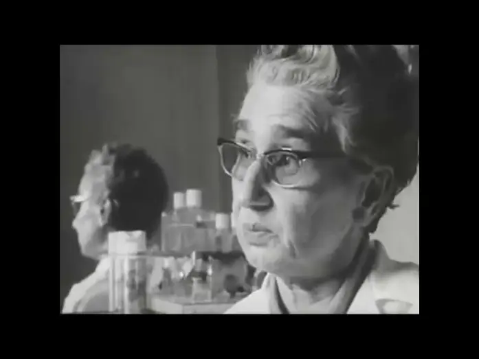 Video for the series The Sorrow and the Pity — Le chagrin et la pitié : extrait 1