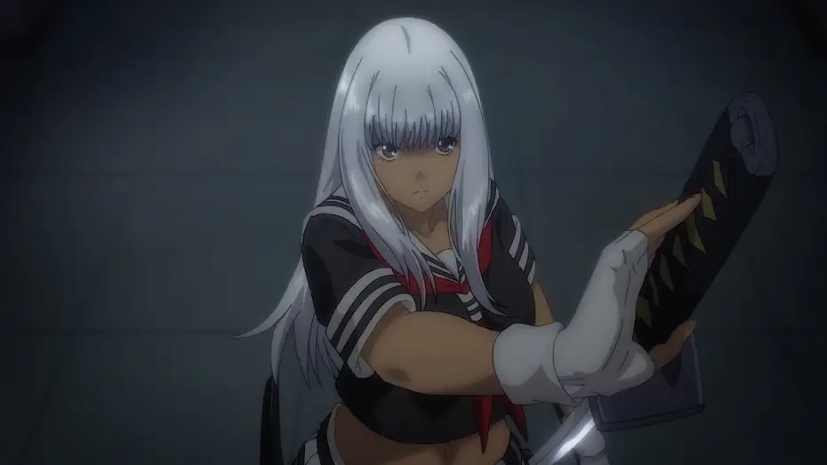 Video for the series Shin Ikki Tousen — Shin Ikki Tousen | TRAILER OFFICIEL