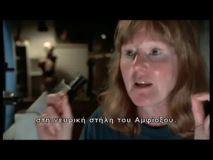 Video for the series The Shape of Life — The Shape Of Life: Bones, Brawn and Brains (2001)