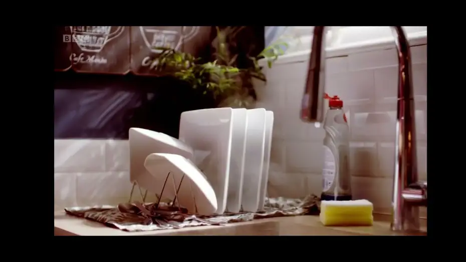 Video for the series Morning Live — morning live theme