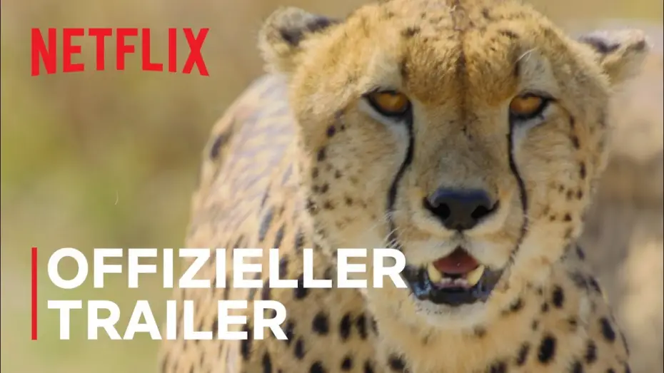 Video for the series Animal — Das Tier | Offizieller Trailer | Netflix