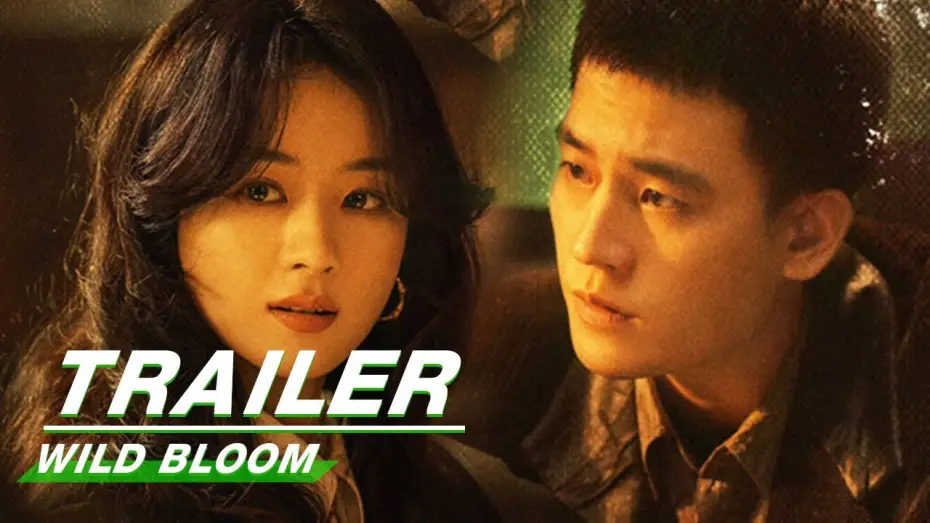 Video for the series Wild Bloom — Official Trailer: Wild Bloom | Zhao Liying x Oho Ou x Li Guangjie | 风吹半夏 | iQIYI