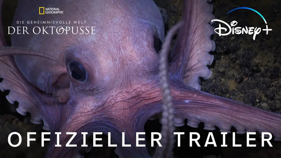 Video for the series Secrets of the Octopus — Offizieller Trailer (OmdU)