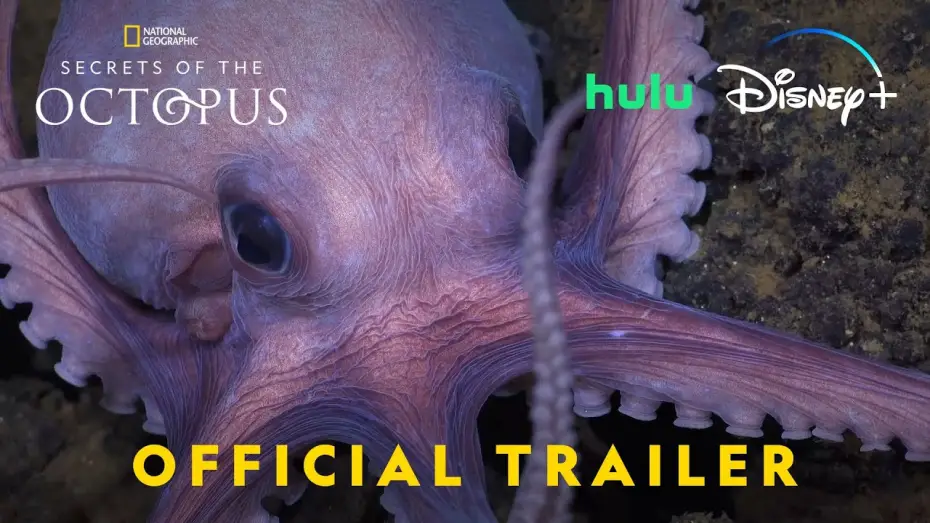 Video for the series Secrets of the Octopus — Official Trailer