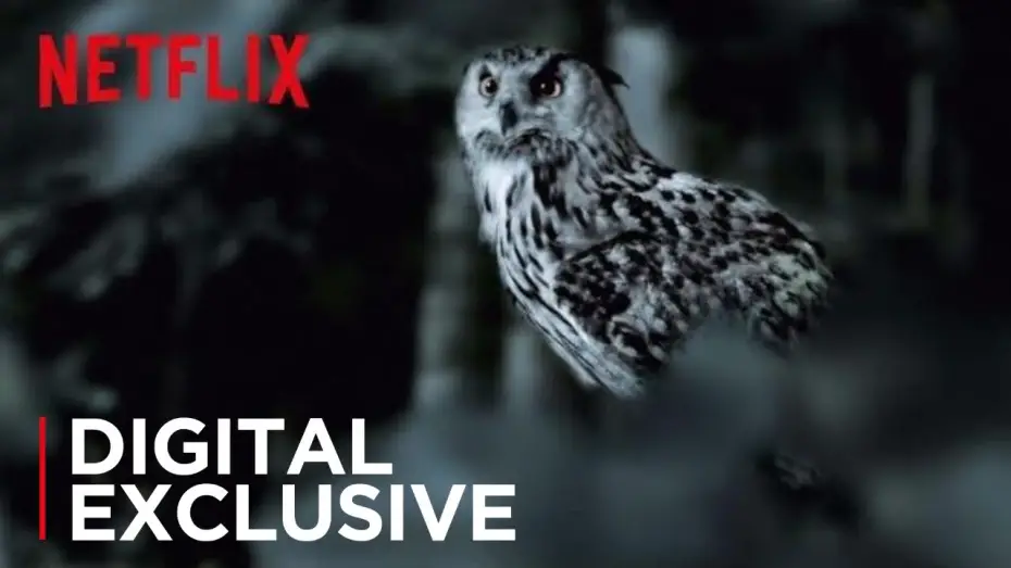 Video for the series The Staircase — The Staircase | The Owl Theory | Netflix