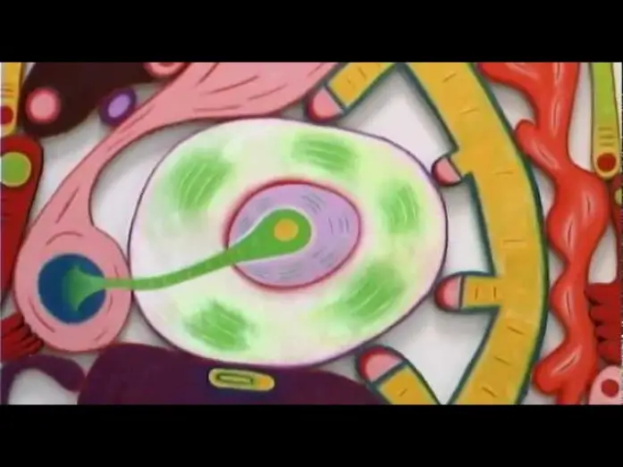 Video for the series art21 — Season 2 — Trailer: Season 2 of "Art in the Twenty-First Century" (2003) | Art21