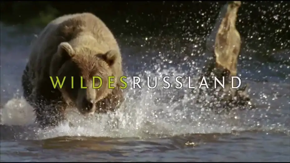 Video for the series Wild Russia — [HD] Wildes Russland - Die Serie Trailer