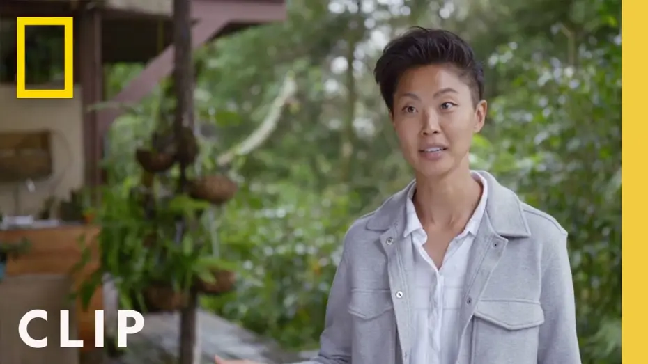 Video for the series Restaurants at the End of the World — Would you go to a restaurant in the rainforest? | Restaurants at the End of the World