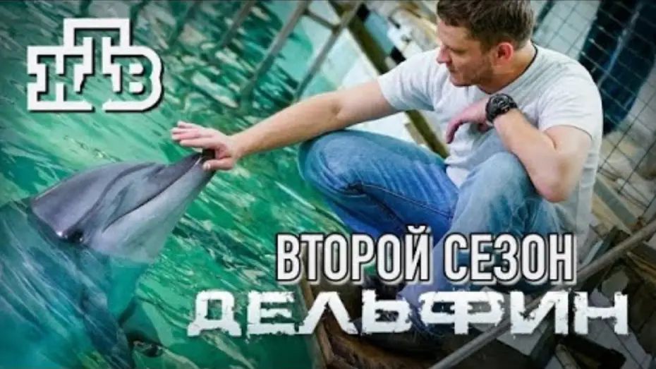 Video for the series Дельфин — Трейлер сериала "Дельфин 2" [2022]